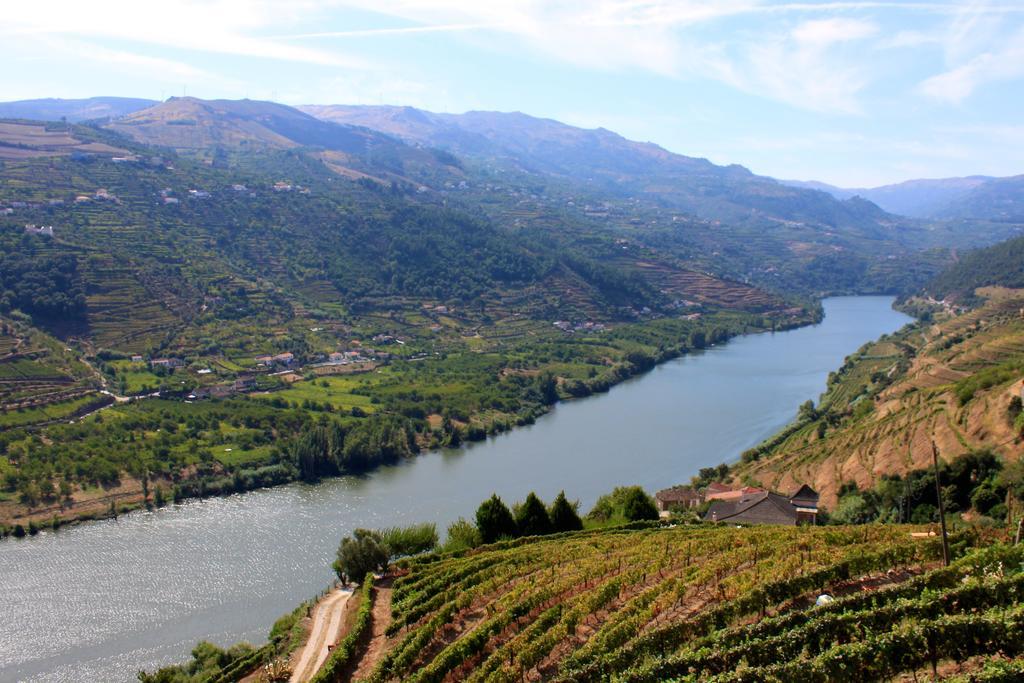 Camping Lamego Douro Valley Bagian luar foto