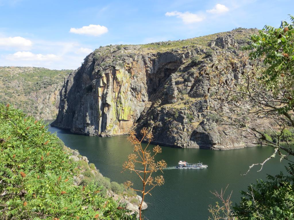 Camping Lamego Douro Valley Bagian luar foto