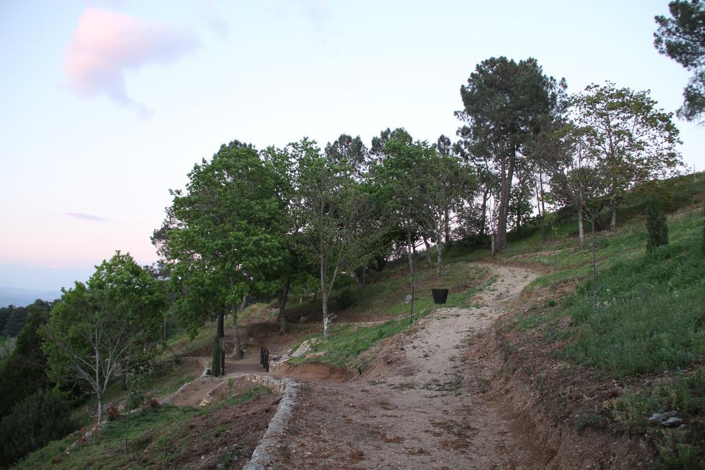 Camping Lamego Douro Valley Bagian luar foto