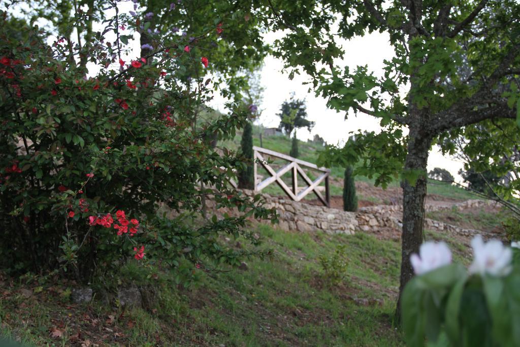 Camping Lamego Douro Valley Bagian luar foto